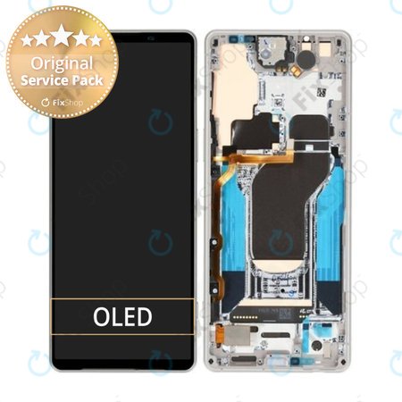 Sony Xperia 1 V - Ecran LCD + Sticlă Tactilă + Ramă (Silver) - A5060571A Genuine Service Pack